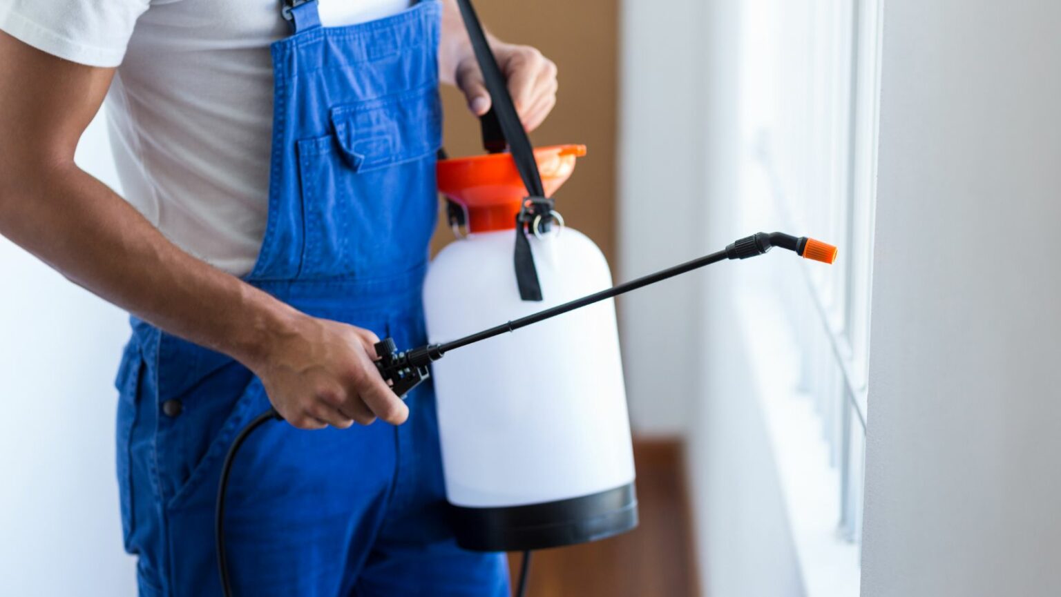8 Reasons Why You Should Hire A Professional Pest Control Company