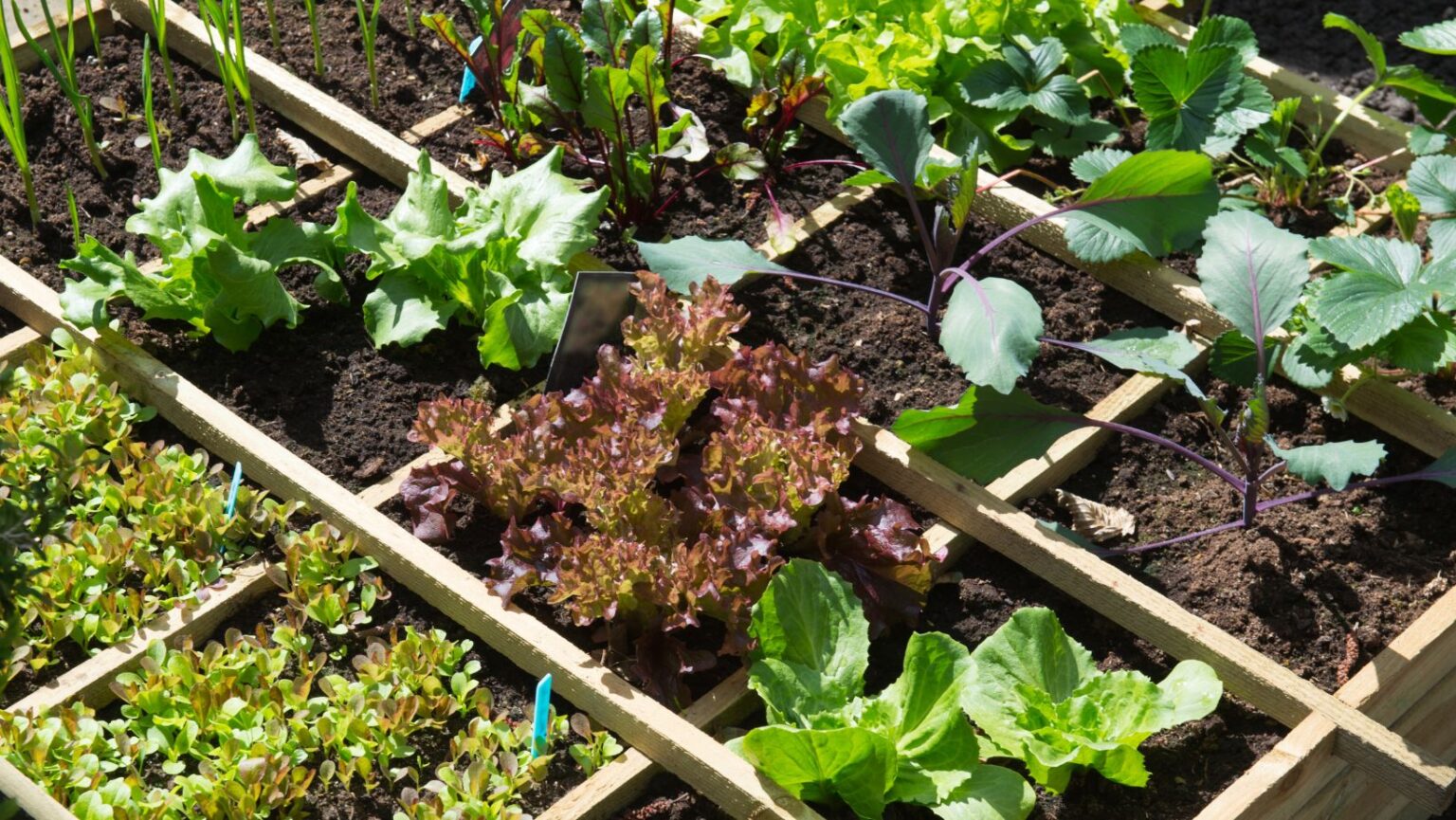 How to Create the Perfect Container Garden to Complement Your