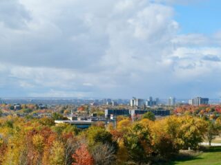 Trees and buildings in North York