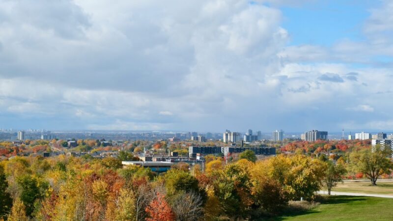 Trees and buildings in North York