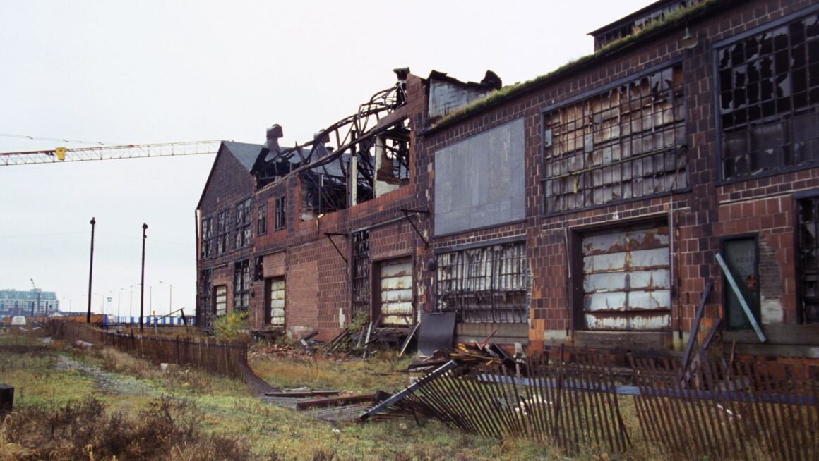 Image1