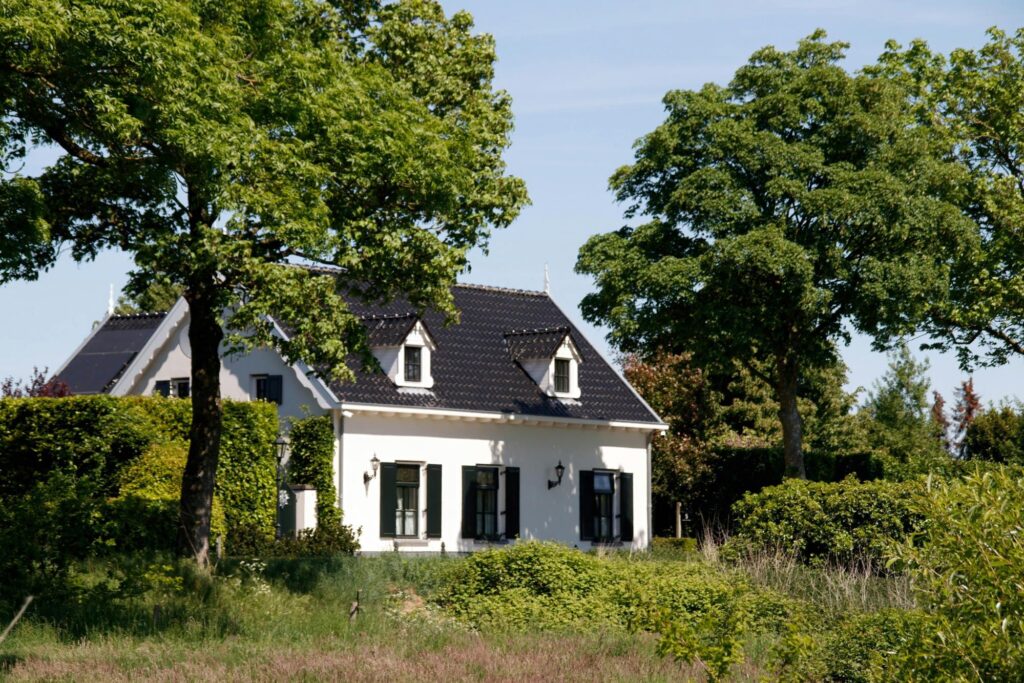 Image3