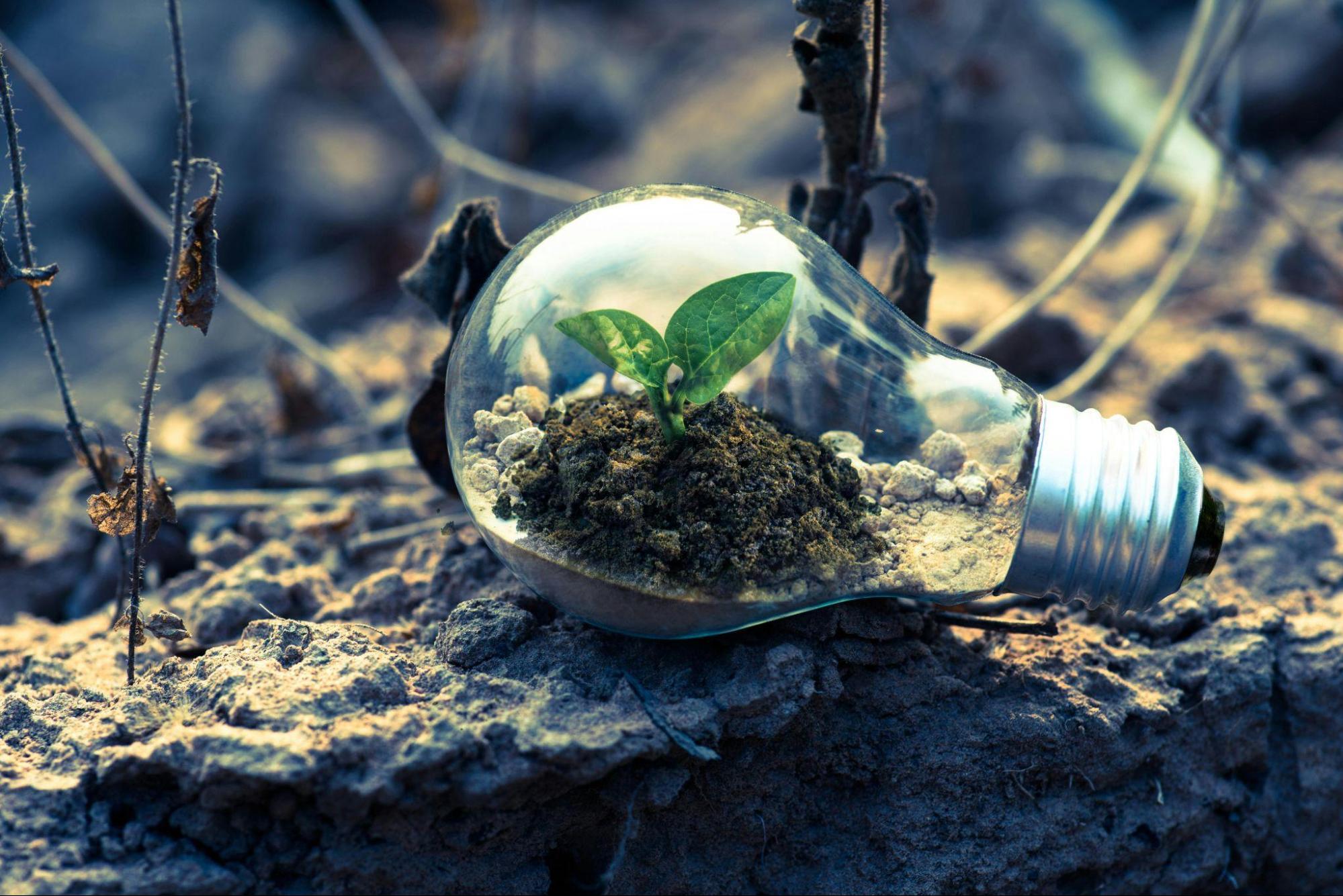 sustainable property care, eco-friendly property maintenance, green building practices, sustainable real estate, eco-conscious property management, environmentally friendly property services, green home care, sustainable property solutions, property sustainability tips, responsible property upkeep