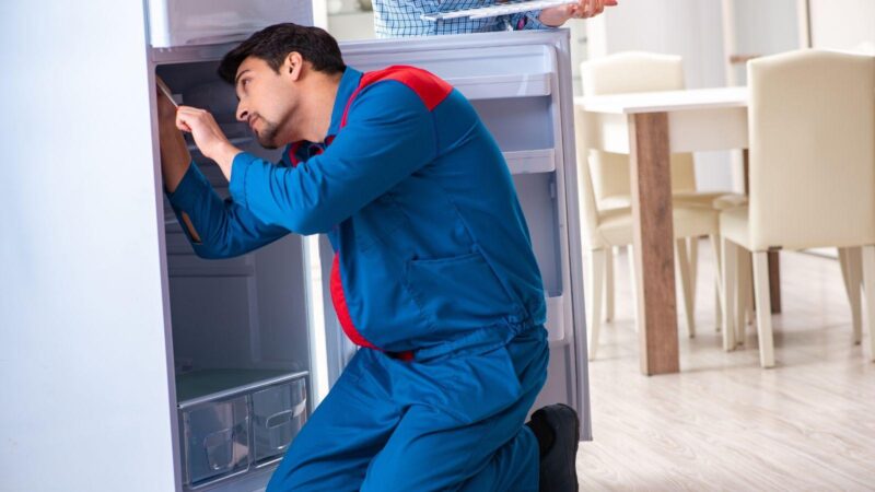 refrigerator malfunction, common refrigerator issues, refrigerator repair tips, prevent fridge problems, appliance repair solutions, fridge troubleshooting, refrigerator maintenance tips, fridge repair services, appliance malfunction prevention