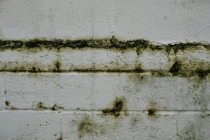 hidden water damage signs, home water damage repair, detect water leaks house, water intrusion symptoms, water damage restoration tips, mold prevention water leaks, water damage prevention homeowners, water damage repair services, water leak detection, signs of hidden water damage