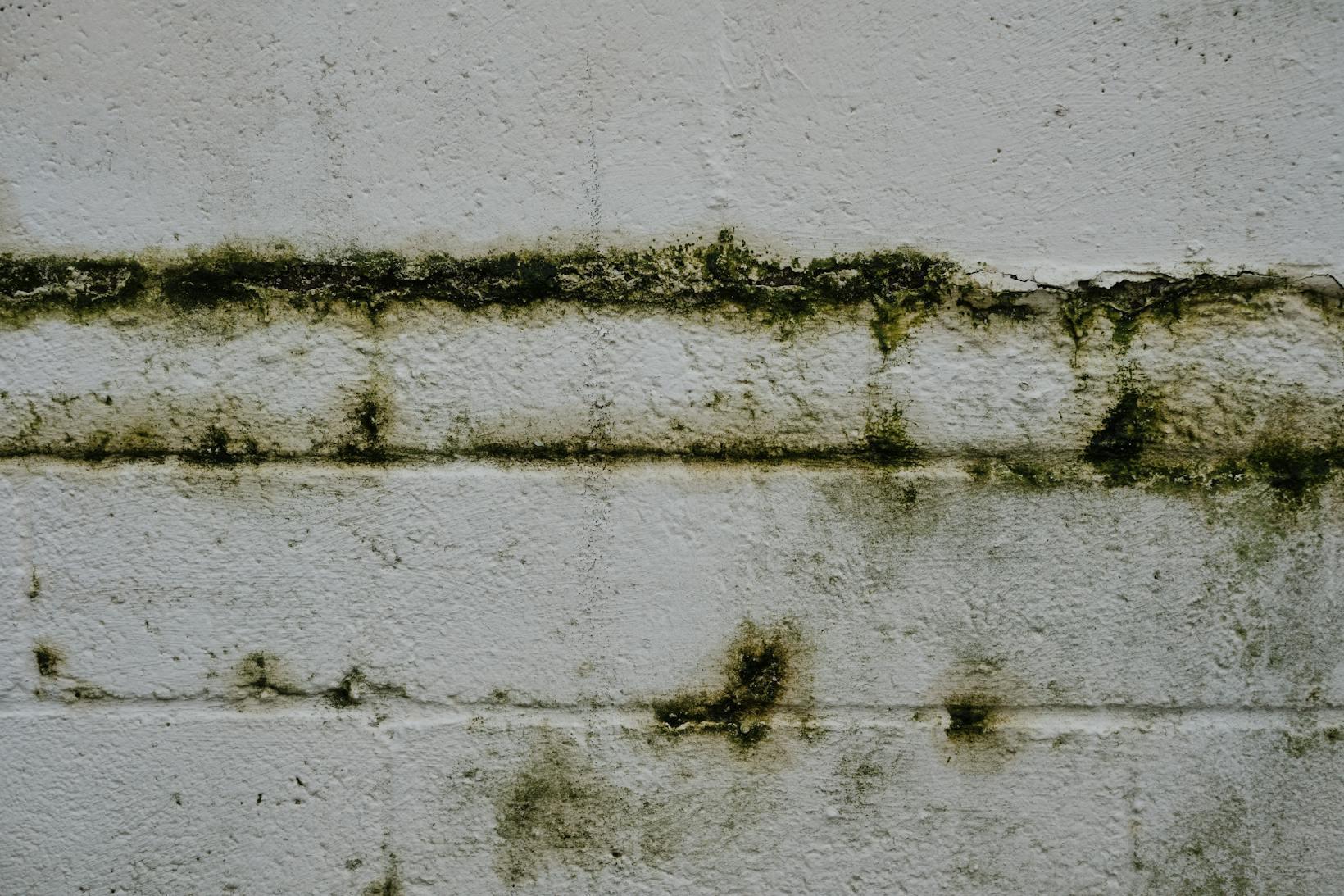 hidden water damage signs, home water damage repair, detect water leaks house, water intrusion symptoms, water damage restoration tips, mold prevention water leaks, water damage prevention homeowners, water damage repair services, water leak detection, signs of hidden water damage