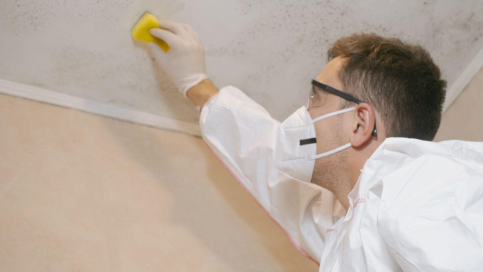 mould removal walls, remove mould from walls, mould cleaning tips, prevent wall mould, mould resistant walls, wall mould treatment, home mould prevention, mould removal guide, mould removal services, wall mould prevention